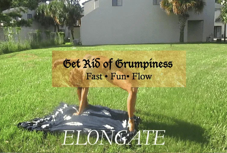 Banish Morning Grumpiness | Simple Stretching Tips