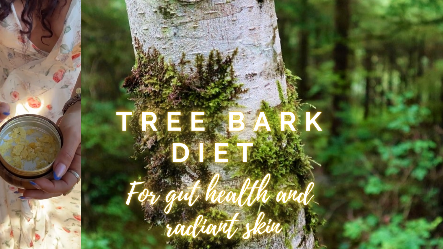Tree Bark Diet: Gut Health & Radiant Skin | Champïone