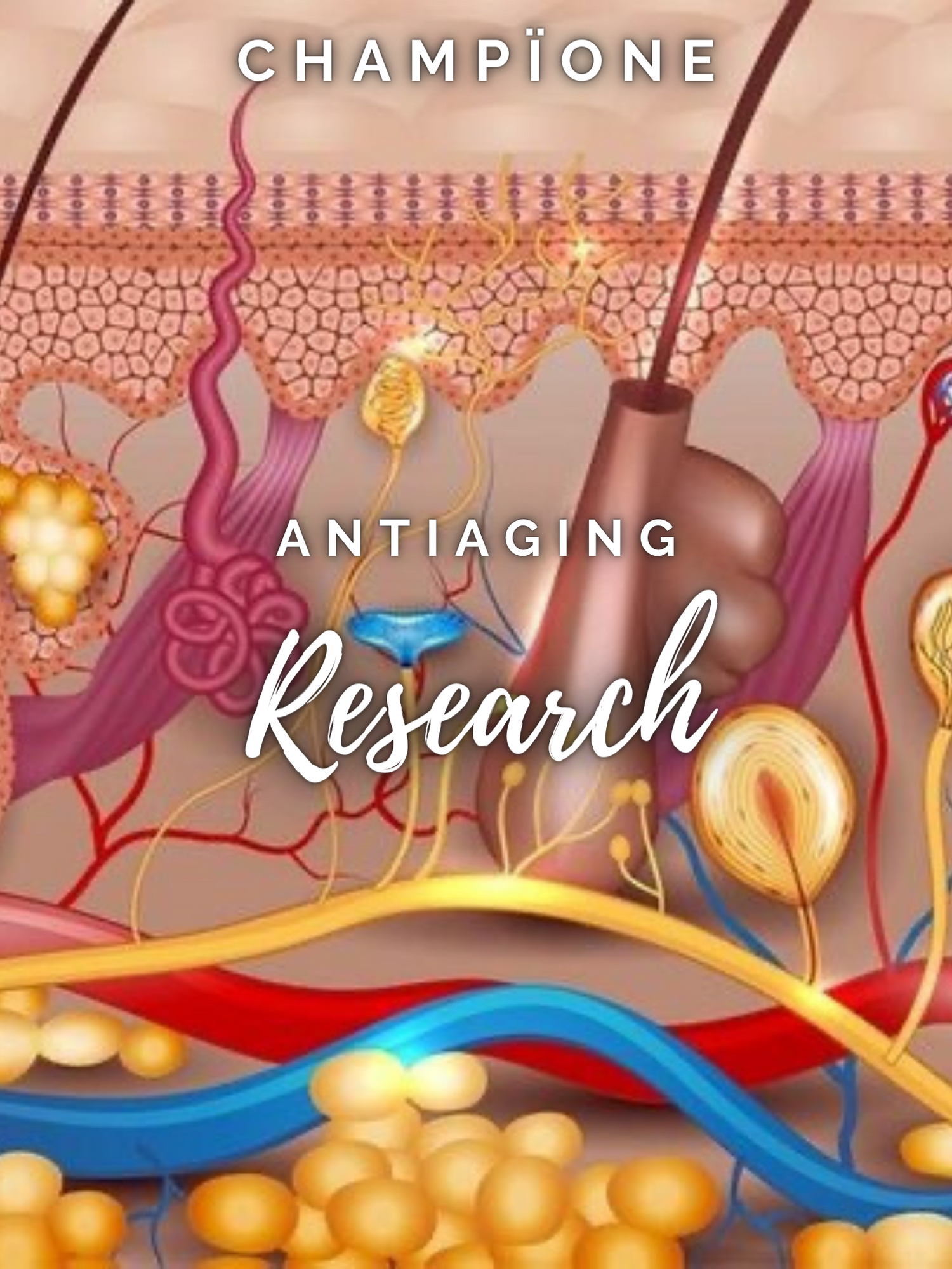 Longevity Research: Uncover the Secrets to Youthful Skin