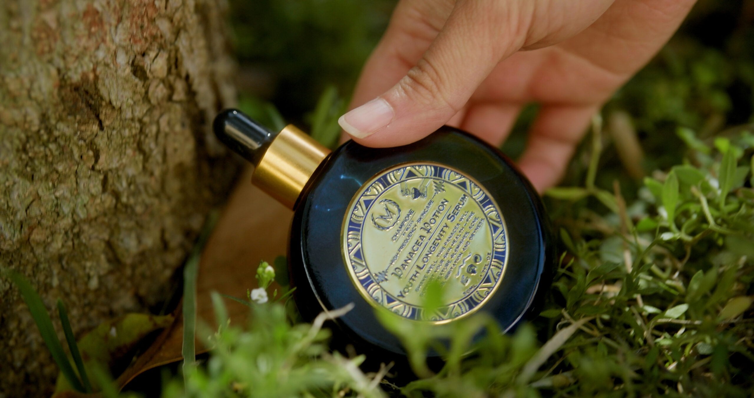 Panacea Longevity Serum, Panacea Youth Longevity Serum