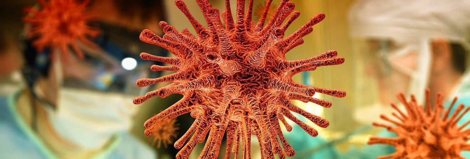 Strengthen Your Immune System: Tips & Remedies