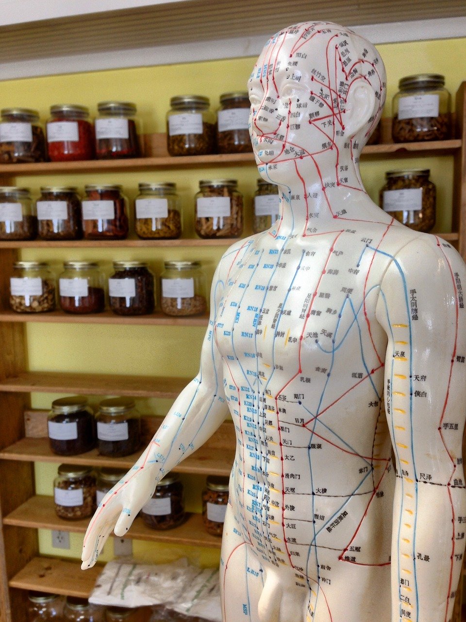 Acupuncture, Cupping, and Conscious Beauty