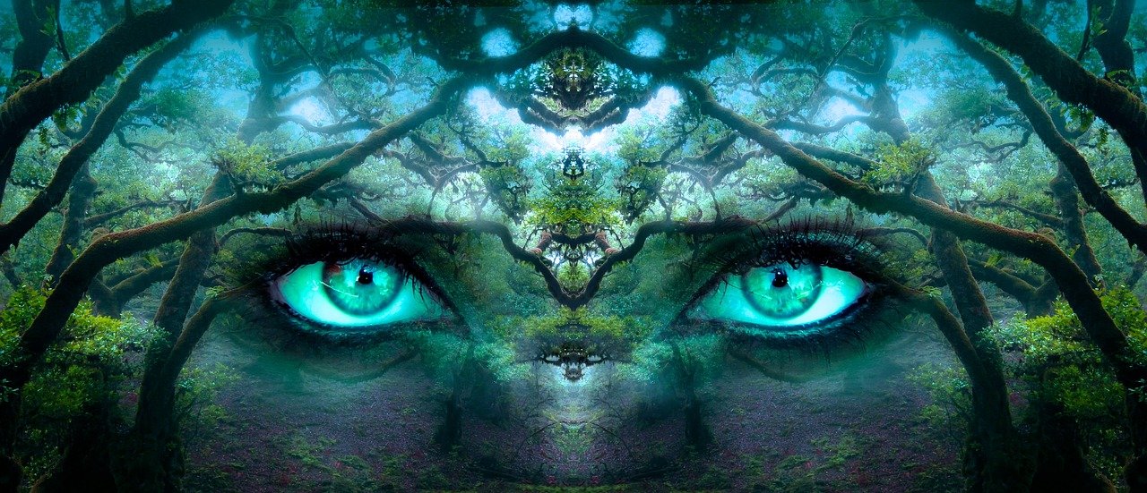 Elevate Your Life: Energy, Vibration & Frequency Secrets