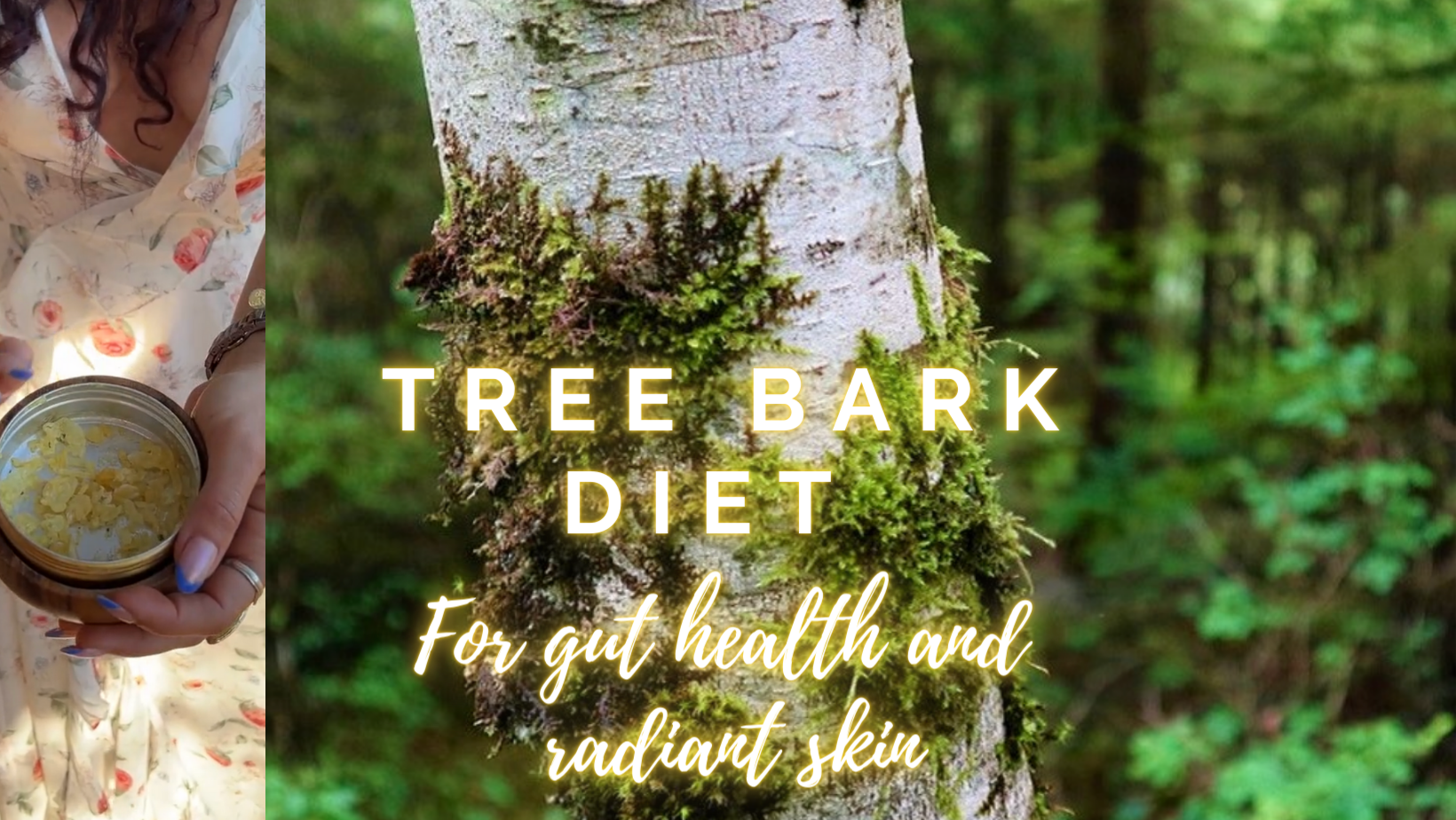 #1 Tree Bark Diet for Clean Gut and Radiant Skin