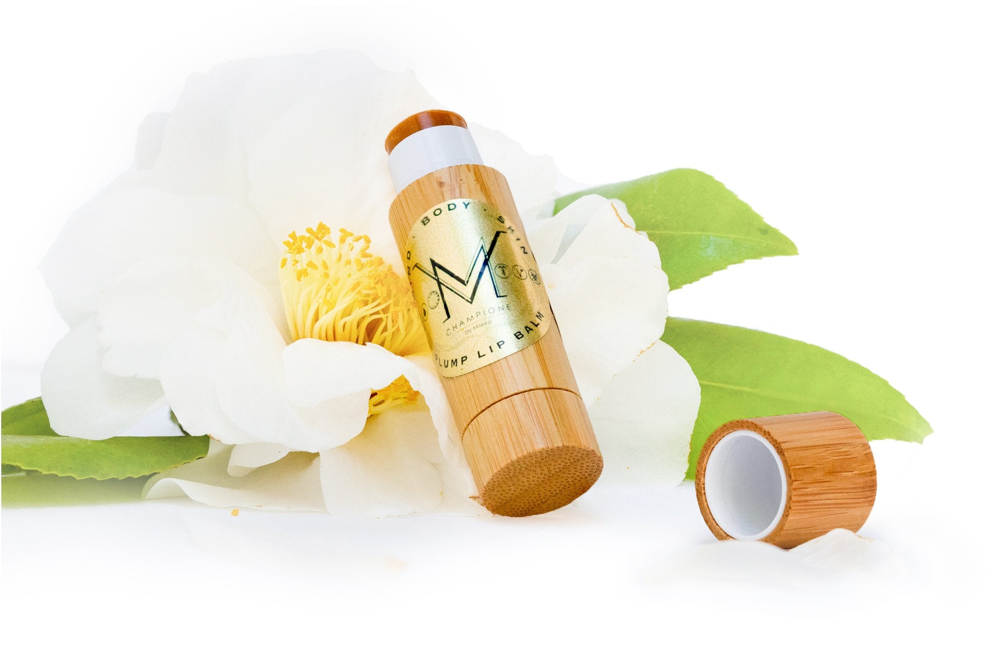 Plump Lip Balm, Plump Lip Balm - For dry & chapped lips